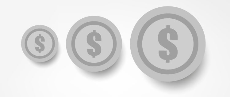 Fundación_Carlos_Slim-Las monedas