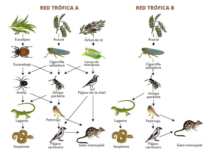 Fundación_Carlos_Slim_La biodiversidad