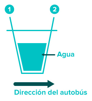 Fundación_Carlos_Slim-Los autobuses