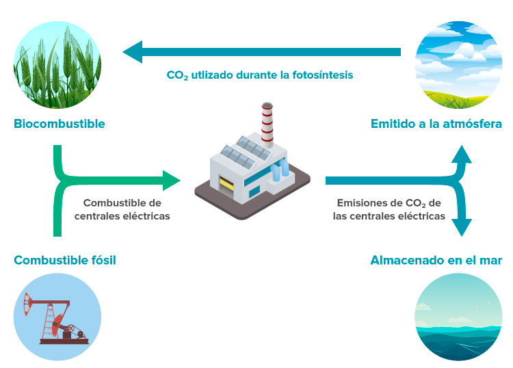 Fundación_Carlos_Slim-Combustibles fósiles