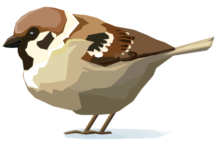Fundación_Carlos_Slim-La migración de las aves