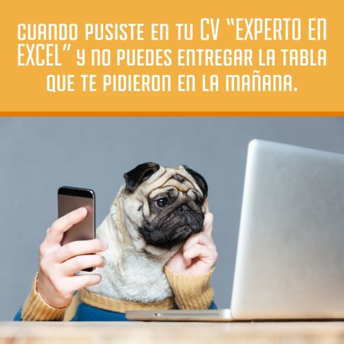 Competencias digitales docentes - PruébaT