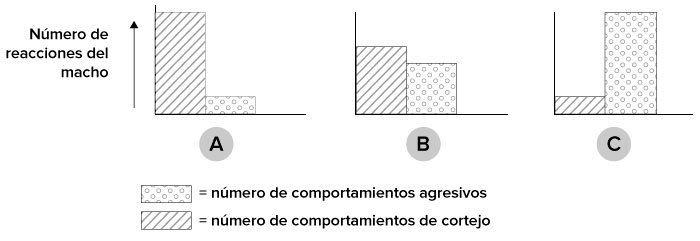 FCS-Comportamiento del espinoso