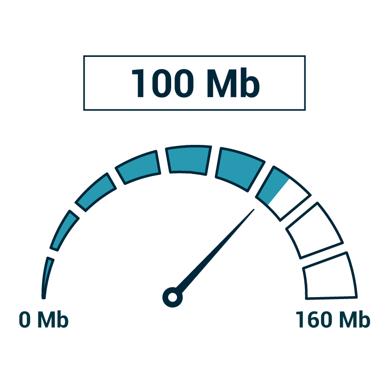 ¿Qué tipo de servicio de internet necesito? - PruébaT