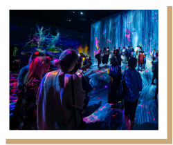 Uso de herramientas digitales de innovación en el aula - PruébaT