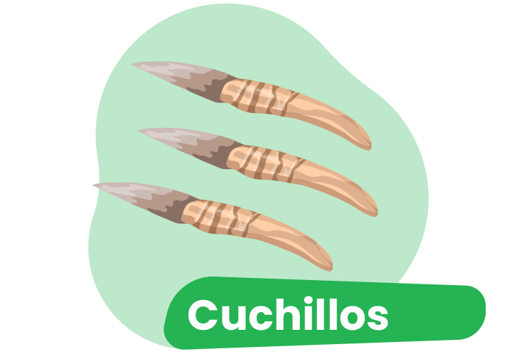 Pregunta