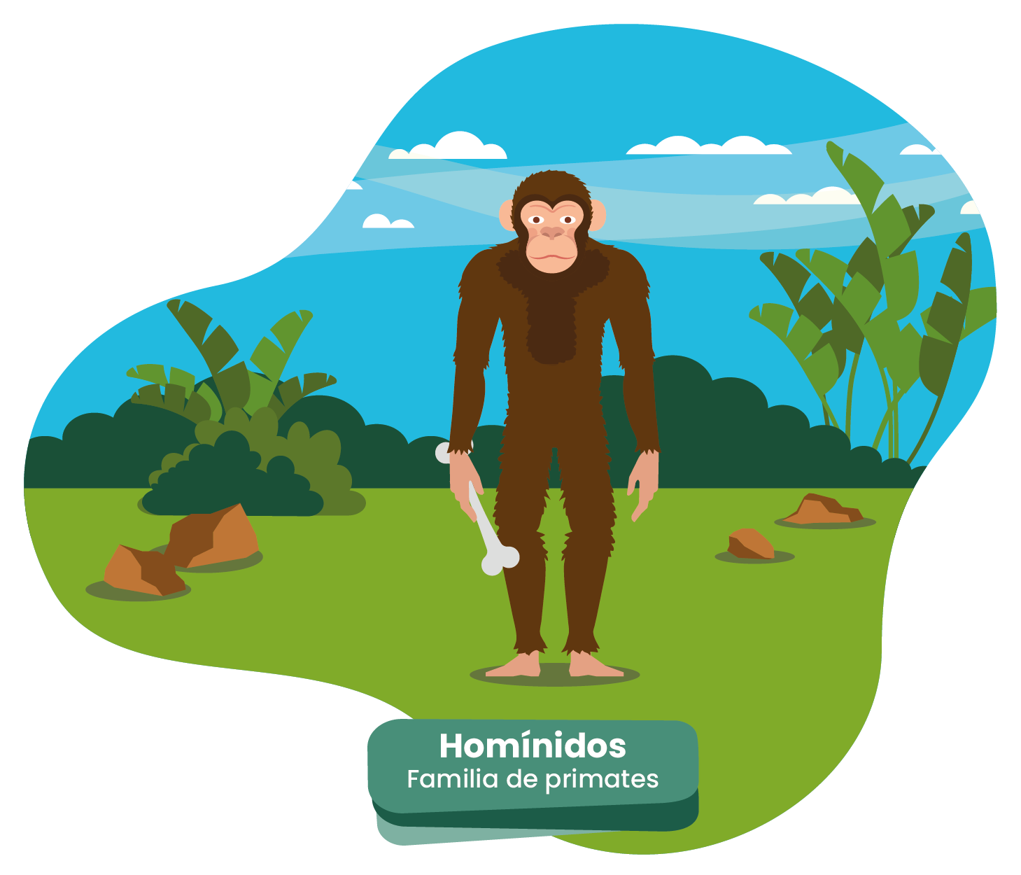 Pregunta