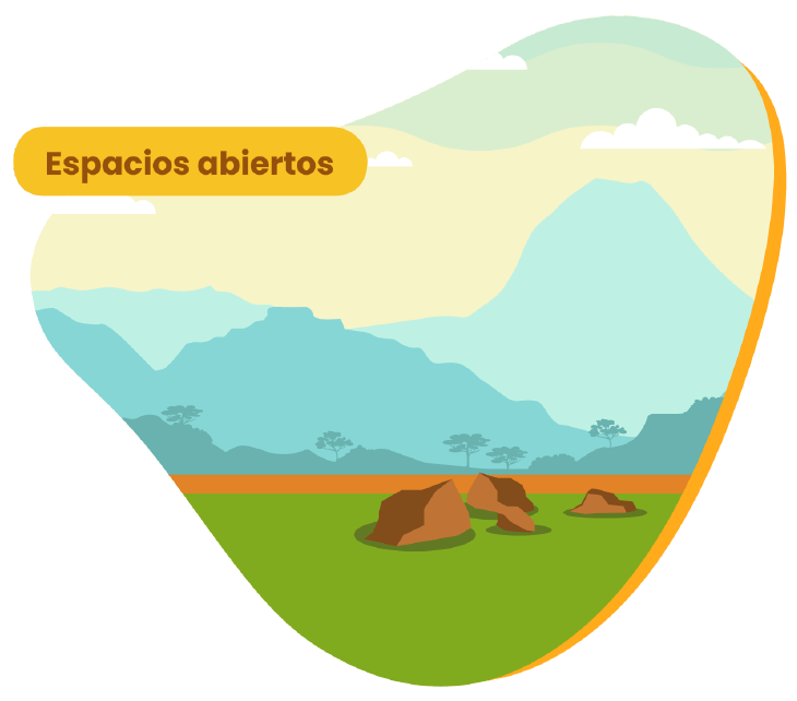 Pregunta