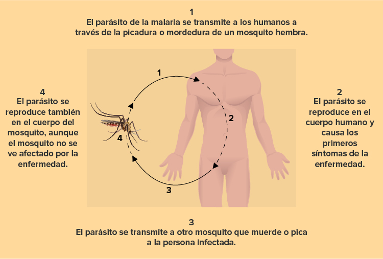 Fundación_Carlos_Slim-Malaria