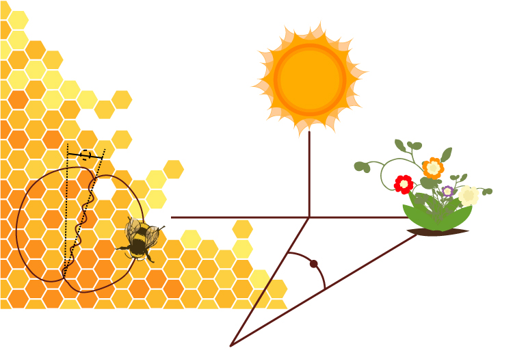 Fundación_Carlos_Slim-Las abejas