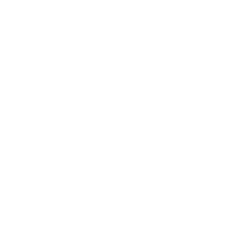 Fundación Carlos Slim - Carrera del Ahorro