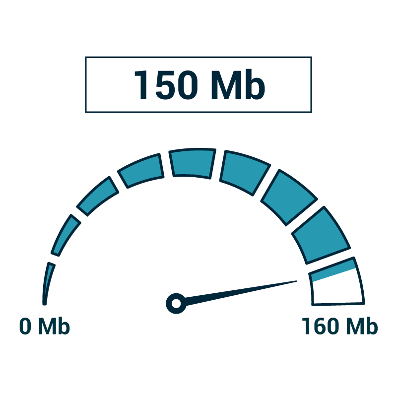 ¿Qué tipo de servicio de internet necesito? - PruébaT